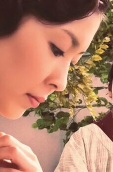 فيلم The Little House 2014 مترجم