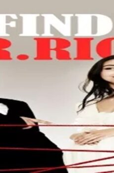 فيلم Finding Mr. Right 2013 مترجم