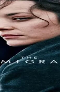 فيلم The Immigrant 2013 مترجم