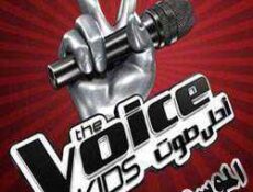 برنامج The Voice الموسم 3 الحلقة 3