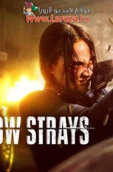 فيلم The Shadow Strays 2024 مترجم