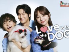 مسلسل Love is for the Dogs الحلقة 1 الاولي مترجمة
