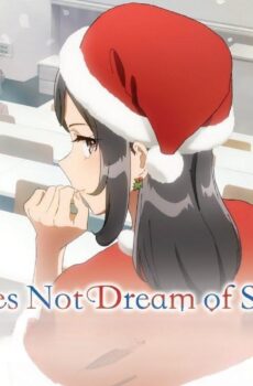 Seishun Buta Yarou wa Santa Claus no Yume wo Minai
