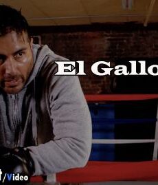 فيلم El Gallo 2018 مترجم