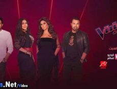 برنامج The Voice الموسم 4 الحلقة 4 كاملة