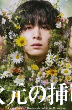 Labyrinth of Hortensia and the Minotaur