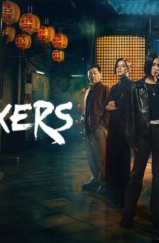 The Fixers
