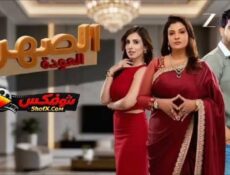 مسلسل الصهر العودة الحلقة 29 مدبلجة