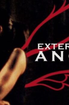 فيلم الدراما The Exterminating Angels 2006 مترجم الملائكة المبيدة