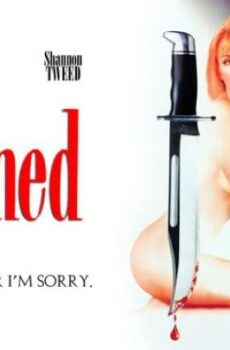 فيلم الاثارة Scorned 1993 مترجم محتقر