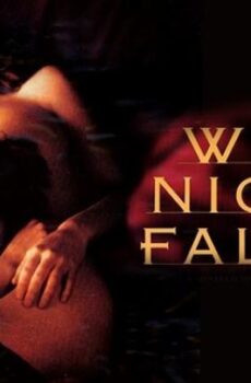 فيلم الرومانسية When Night Is Falling 1995 مترجم عندما يحل الليل