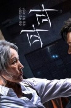 فيلم الاكشن The Old Woman with the Knife 2025 مترجم ( المرأة العجوز التي تحمل السكين )