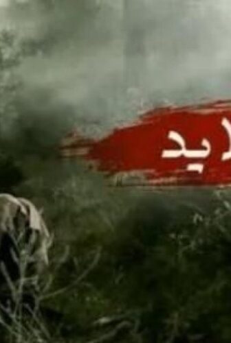 ام القلايد