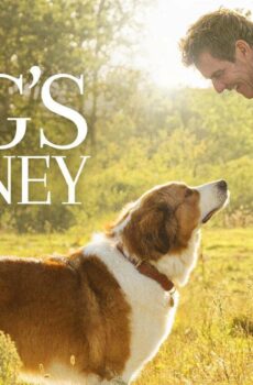 فيلم A Dog’s Journey 2019 مترجم