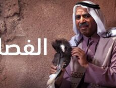 مسلسل الفصلة الحلقة 28 الثامنة والعشرون