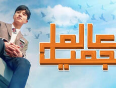 مسلسل العالم الجميل الحلقة 14 الرابعة عشر مترجمة