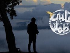 برنامج قلبي اطمأن الموسم 4 الحلقة 21 الحادية والعشرون