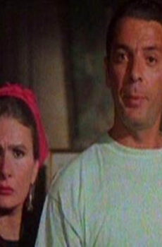 فيلم حرب الفراولة 1994