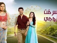 مسلسل سرقت زوجى الحلقة 60 الستون مدبلج