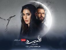 مسلسل الاميرة ضل حيطة الحلقة 17 السابعة عشر
