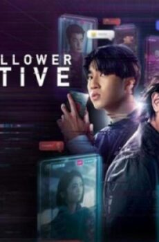 Million-Follower Detective