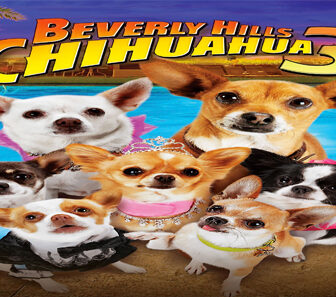 فيلم Beverly Hills Chihuahua 3 Viva La Fiesta 2012 مترجم