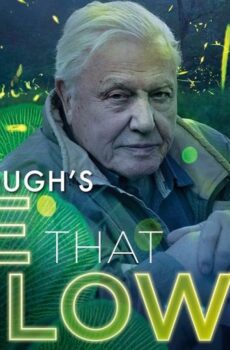 فيلم Attenboroughs Life That Glows 2016 مترجم