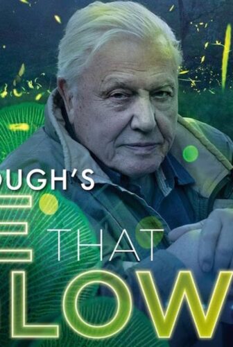 فيلم Attenboroughs Life That Glows 2016 مترجم