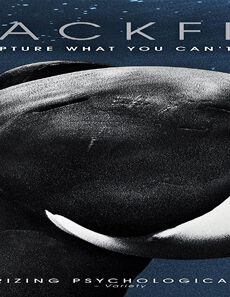 فيلم Blackfish 2013 مترجم