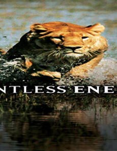 فيلم Relentless Enemies 2006 مترجم