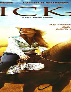 فيلم Flicka 2 2010 مترجم
