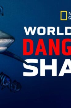فيلم World’s Biggest Bull Shark 2021 مترجم