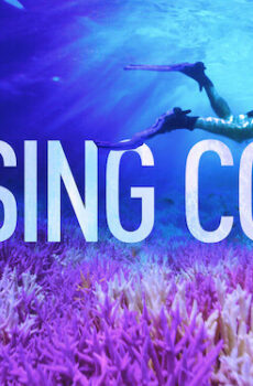 فيلم ملاحقة الشعاب المرجانية Chasing Coral 2017 مترجم
