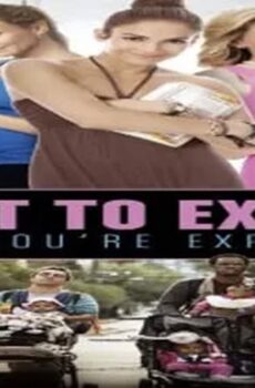 فيلم What to Expect When You’re Expecting 2012 مترجم