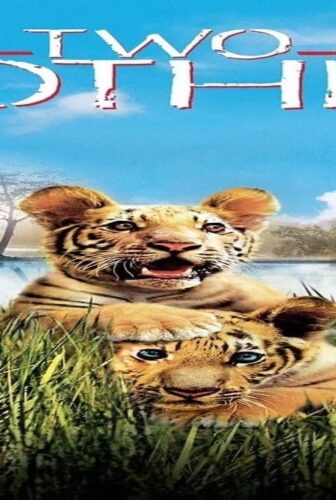 فيلم Two Brothers 2004 مترجم