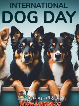 فيلم Dog Days 2024 مترجم