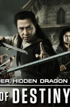 فيلم Crouching Tiger Hidden Dragon Sword Of Destiny 2016 مترجم