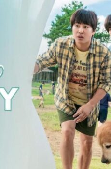 فيلم My Heart Puppy 2023 مترجم