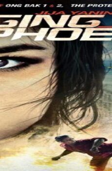 فيلم Raging Phoenix 2009 مترجم