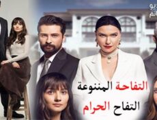 مسلسل التفاحة الممنوعة الحلقة 7 مترجم كاملة – التفاح الحرام