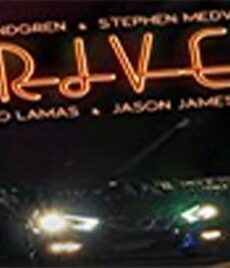 فيلم Driver 2018 مترجم