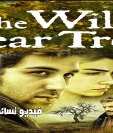 فيلم شجرة الكمثرى البرية مترجم للعربية كامل 2018
