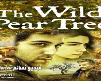 فيلم شجرة الكمثرى البرية مترجم للعربية كامل 2018