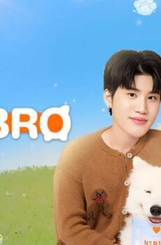 DogBro دوج برو
