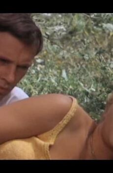 فيلم Death Laid an Egg 1968 مترجم الموت وضع بيضة