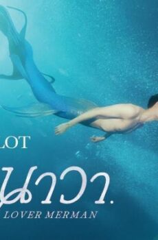 Lover Merman