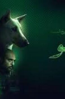 فيلم البحث عن منفذ لخروج السيد رامبو 2024 كامل (النسخة الاصلية)