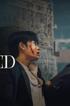 The Wicked Game