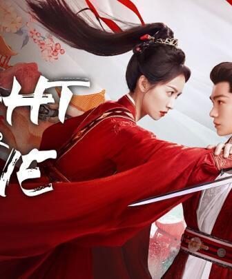 قتال من اجل الحب Fight for Love