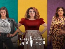 مسلسل ستات بيت المعادي الحلقة 13 الثالثة عشر